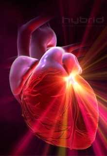 Cardiochirurgia a Bologna: specialità ed interventi